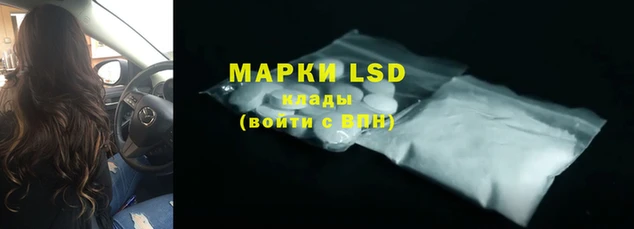 a pvp Бородино