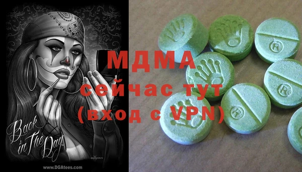 a pvp Бородино
