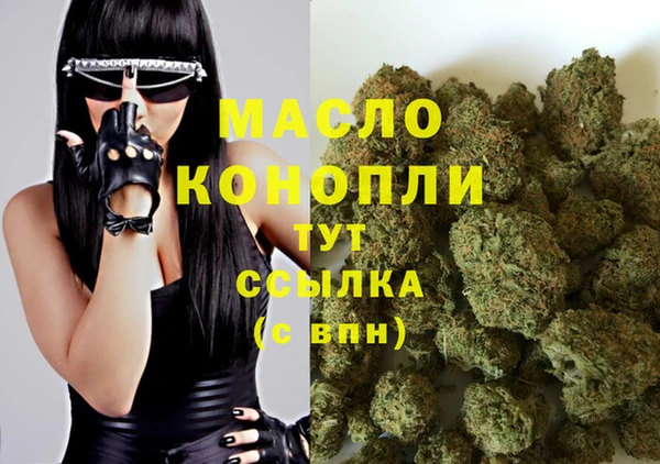 гидра Бронницы