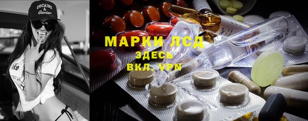 ПСИЛОЦИБИНОВЫЕ ГРИБЫ Верхнеуральск
