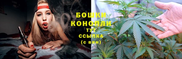 ПСИЛОЦИБИНОВЫЕ ГРИБЫ Верхнеуральск